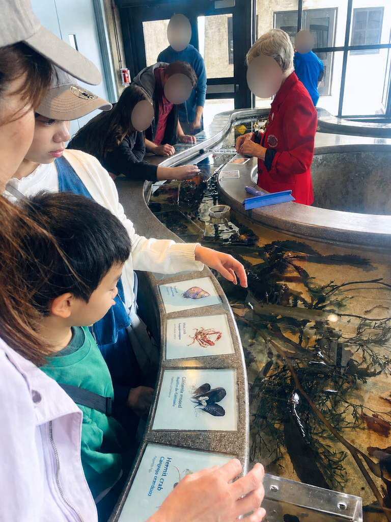 モントレーベイ水族館のタッチプールで海の生き物に触れる子どもたち