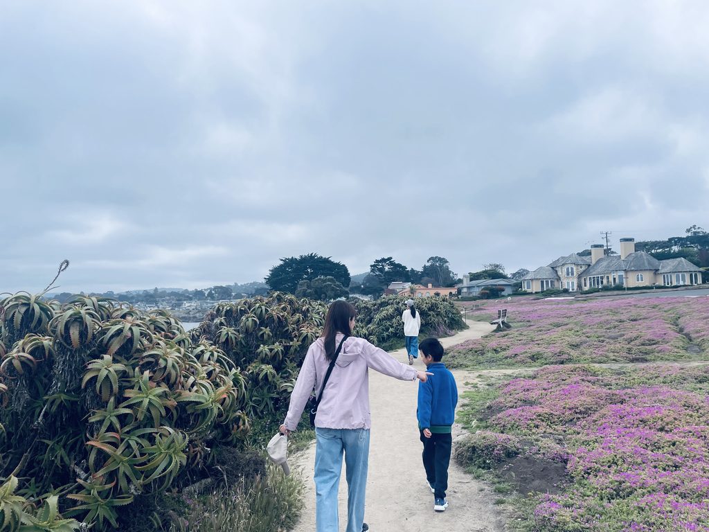 モントレーの海岸沿いに広がるピンク色のアイスプラントの花の中を歩く家族