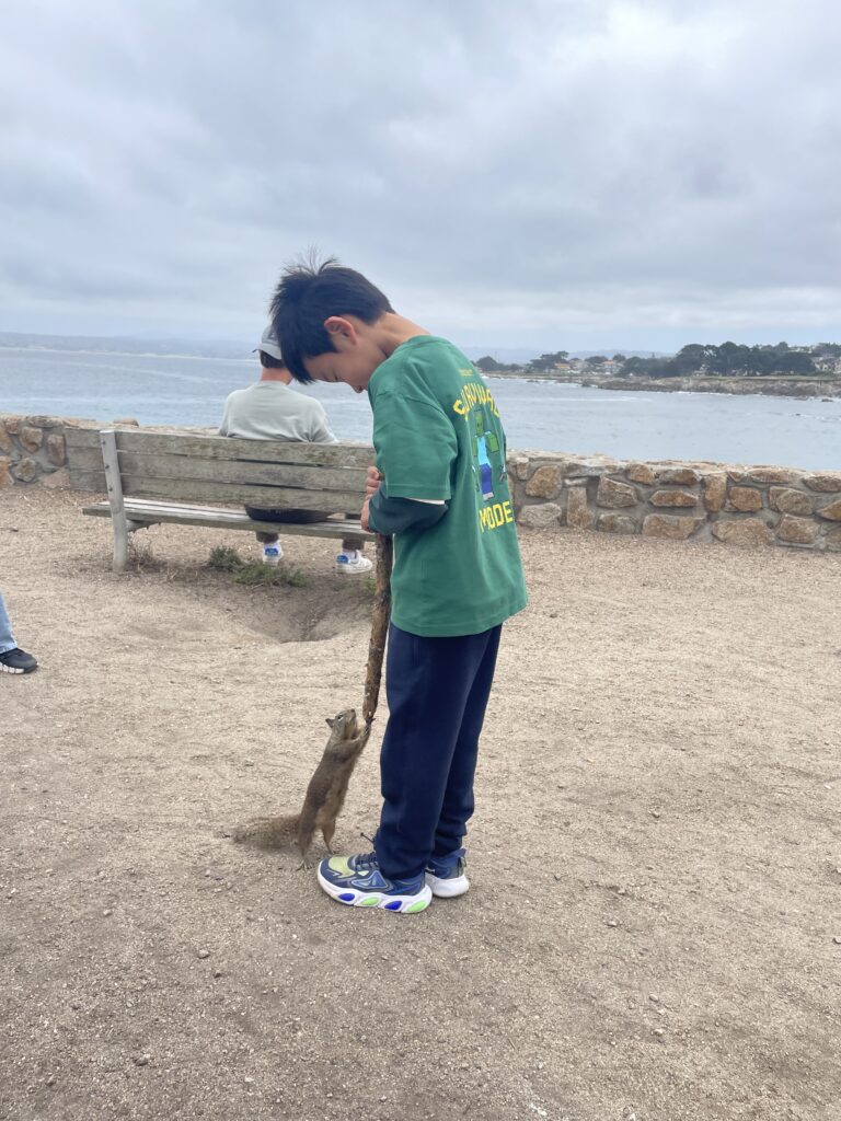 モントレーのラバーズポイントでリスを見つめる子ども