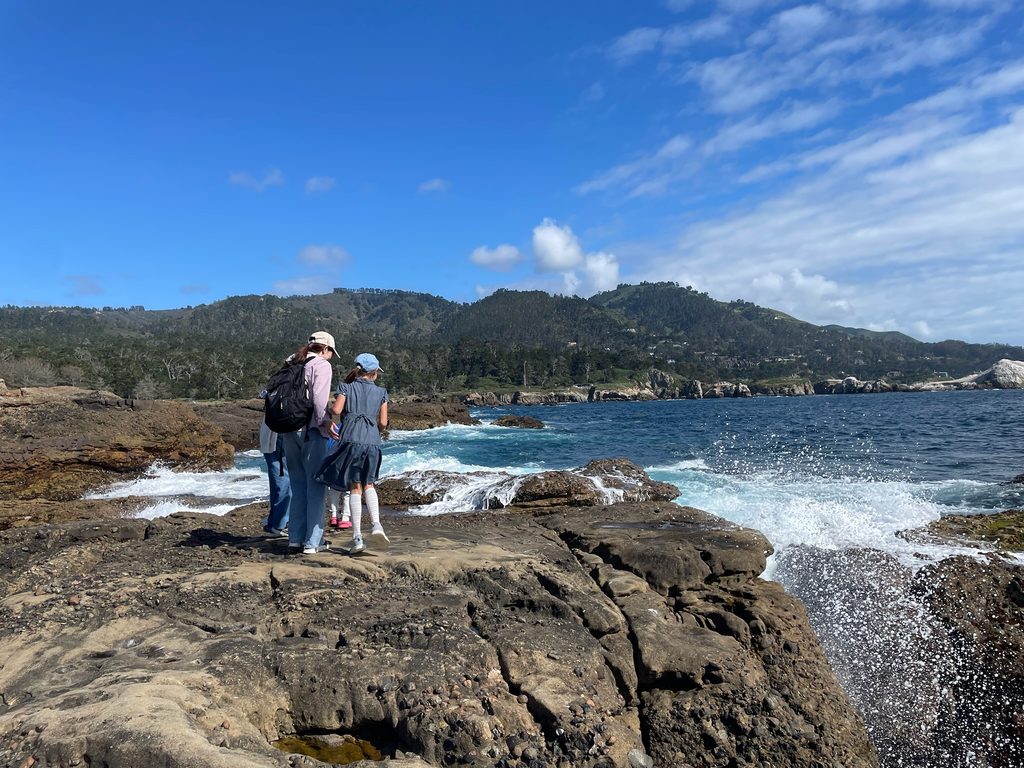 ポイントロボスの岩場に打ち寄せる白波と海岸を歩く子どもたち
